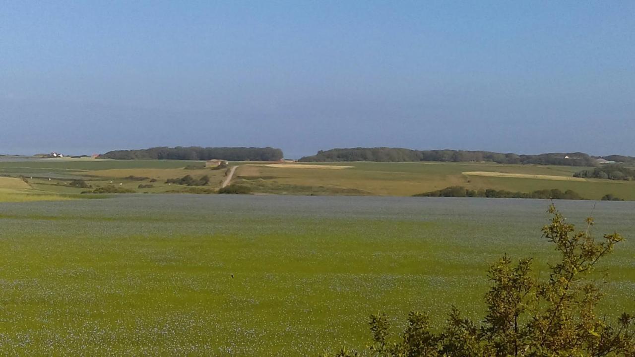 La Clef Des Champs Audinghen Exterior foto